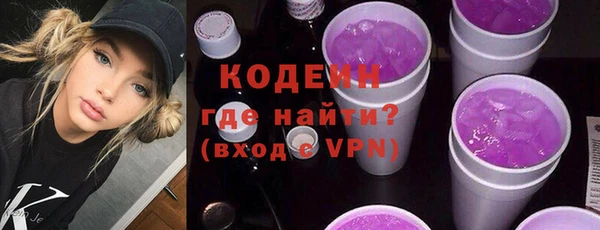 мдпв Осташков