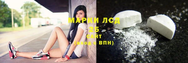 a pvp Новозыбков