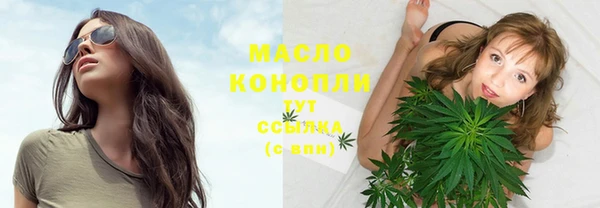 мдпв Осташков