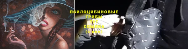 ECSTASY Няндома