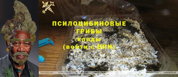 мдпв Осташков