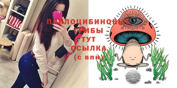 мдма Осинники