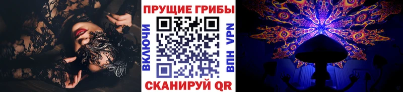 где найти   Нягань  Псилоцибиновые грибы мухоморы 