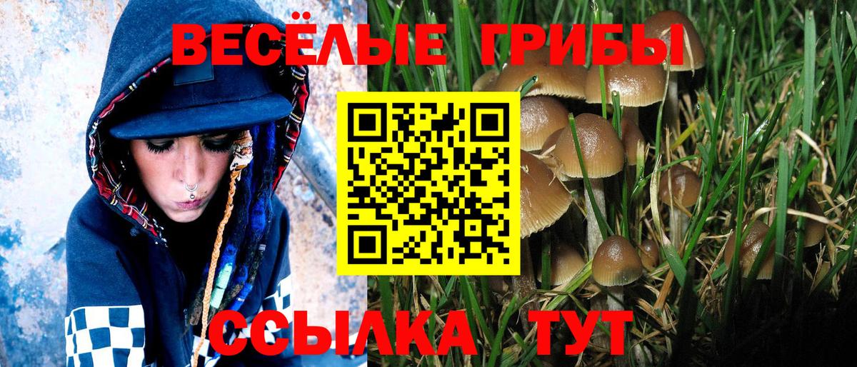 Галлюциногенные грибы мухоморы Нягань